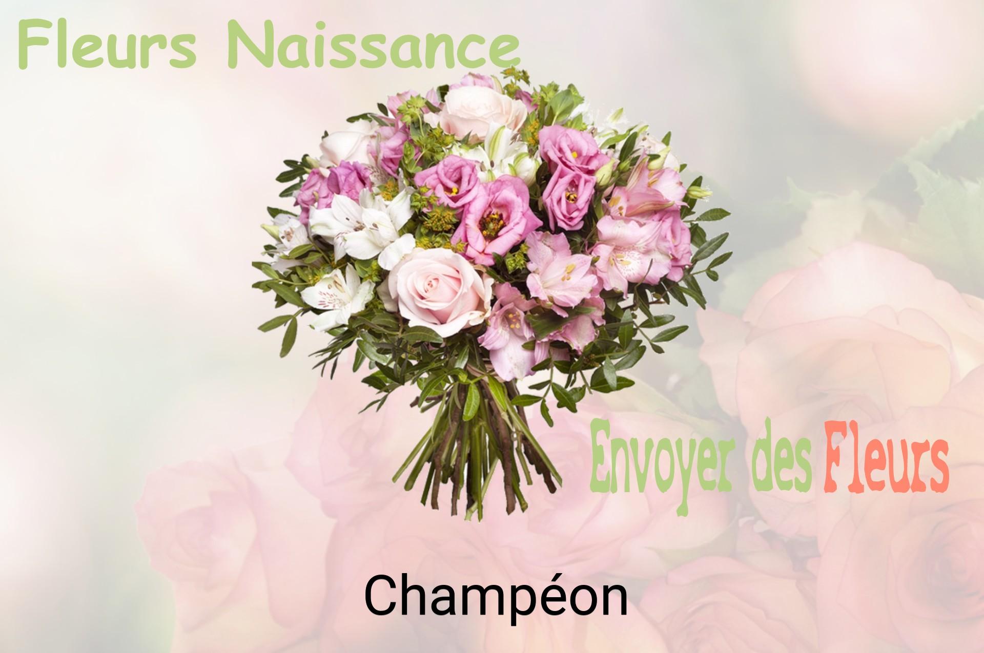 Bouquet de fleurs de naissance livré à Champéon