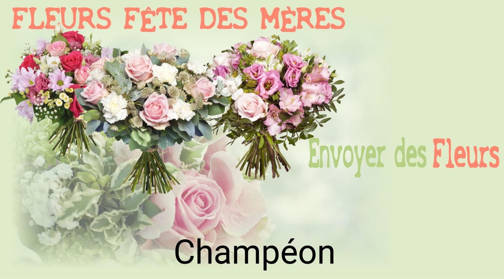 Bouquet de Fête des Mères livré à Champéon